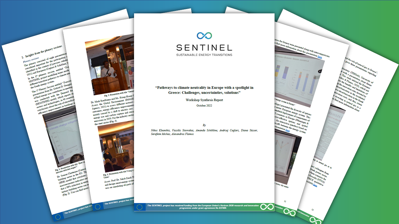 New SENTINEL Stakeholder Workshop Synthesis Report